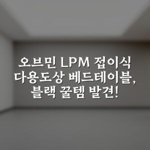 오브민 LPM 접이식 다용도상 베드테이블, 블랙 꿀템 발견!